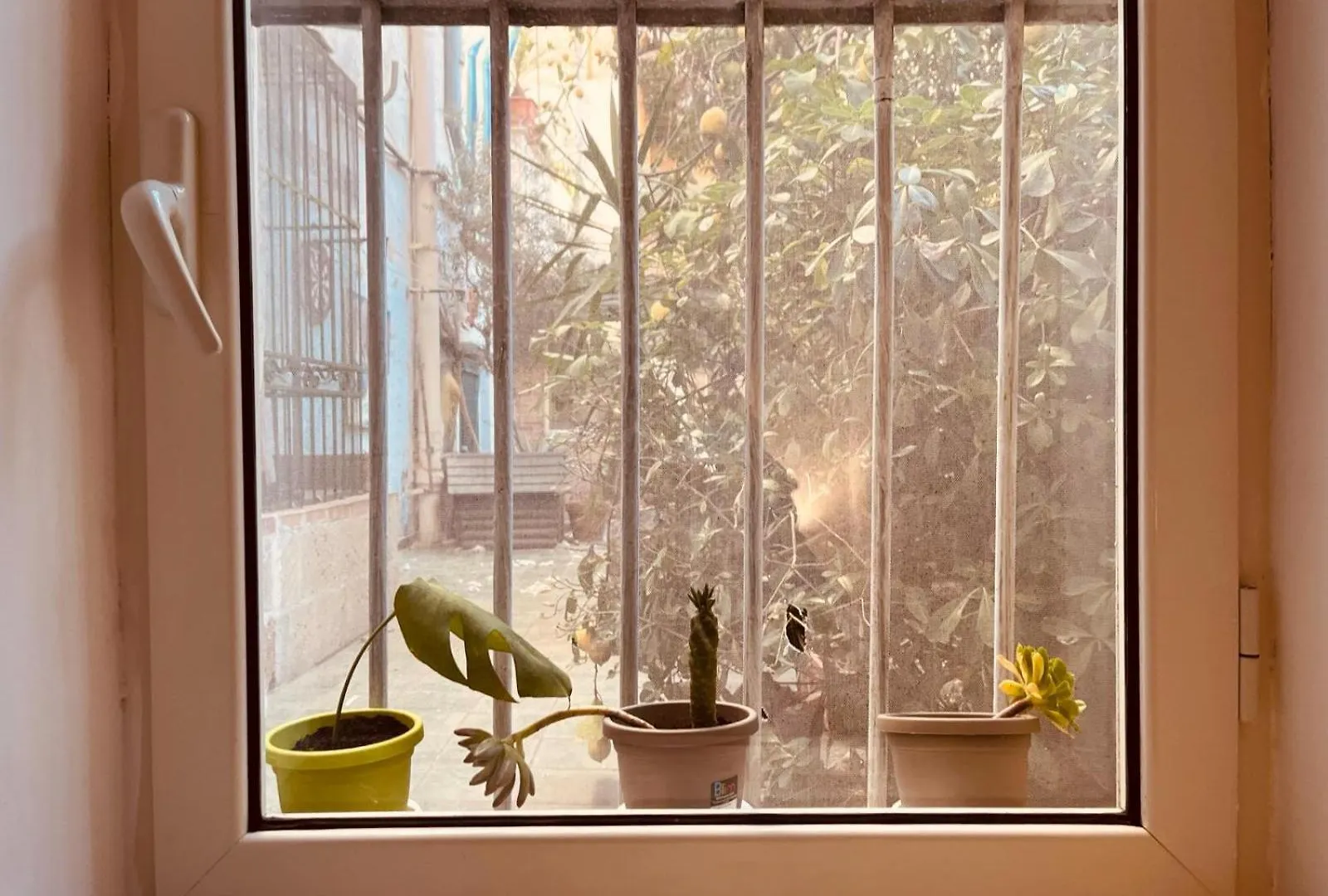 Il Buon Vento Apartment Naples